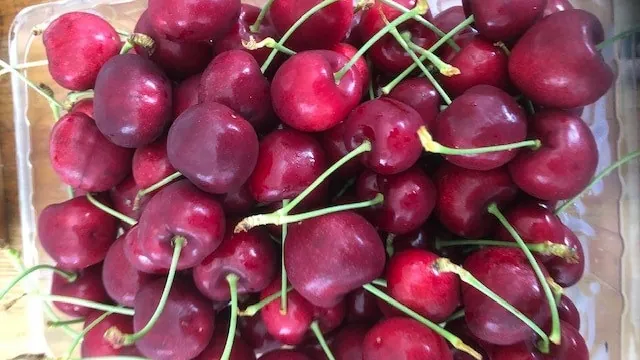 Cherry season South Australia