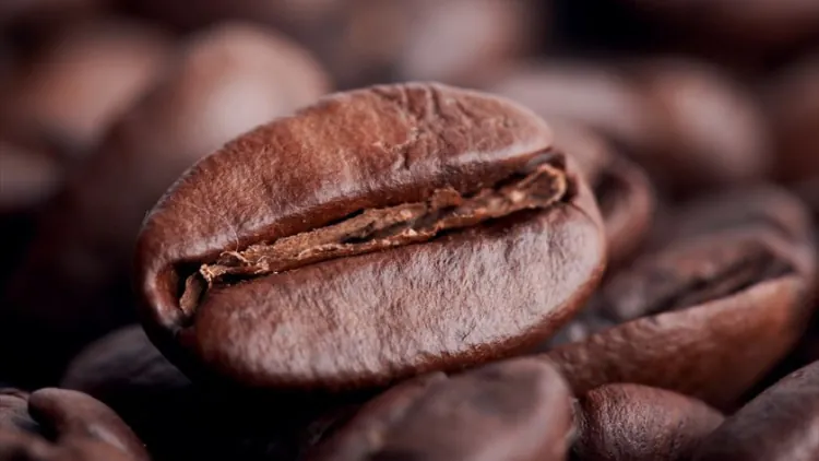 'Sweeter, nuttier, fruitier' locally grown bean gives coffee lovers a taste of Australia